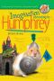 [According to Humphrey 11] • Imagination According to Humphrey